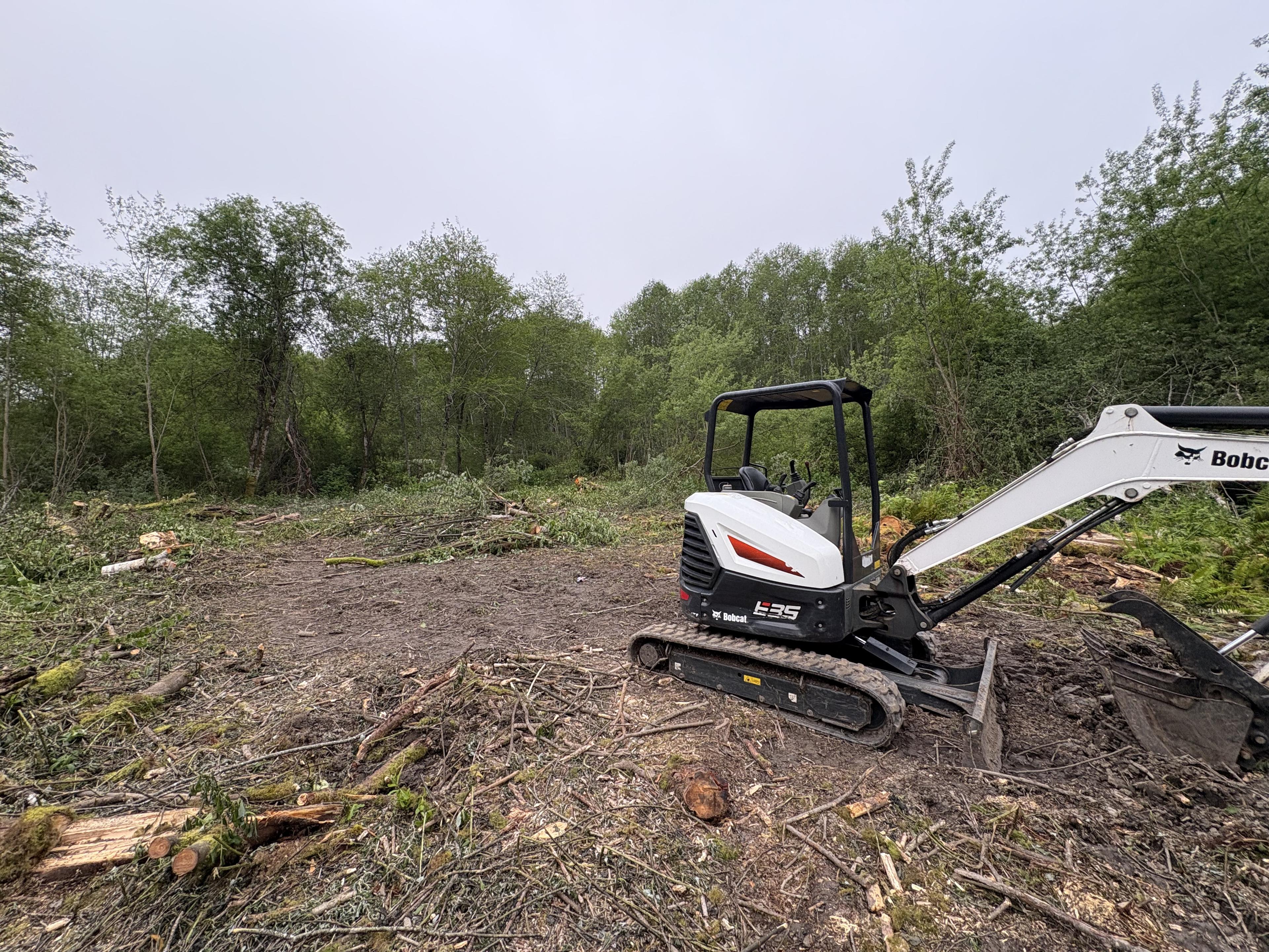 Land clearing and brush removal service