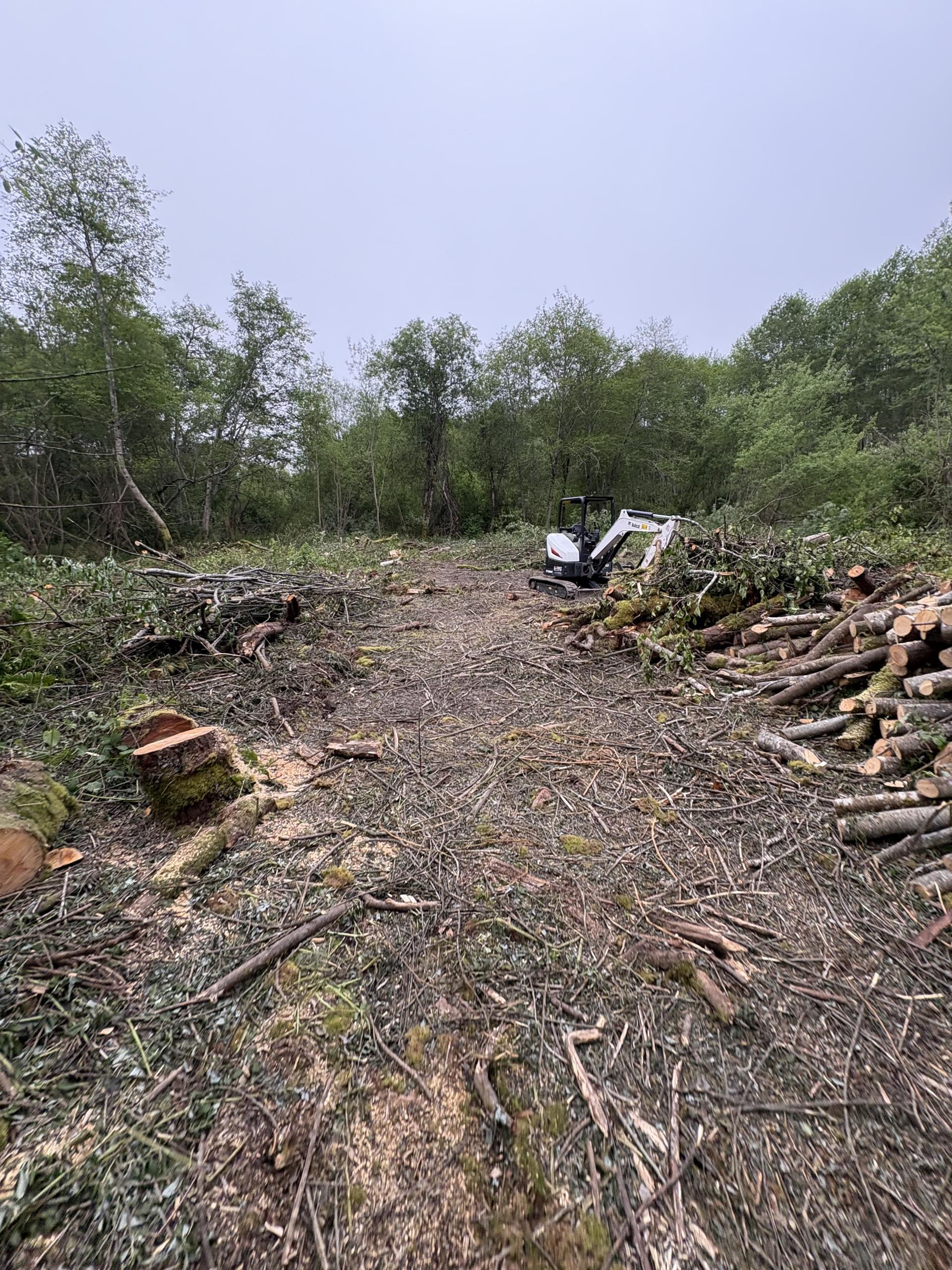 Local Brush Clearing You Can Count On