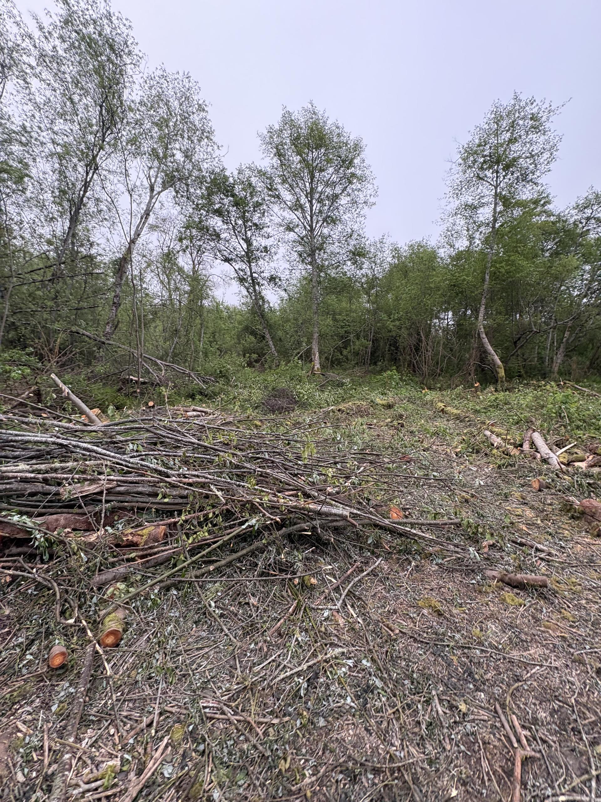 Defensible Space and Fire Safety