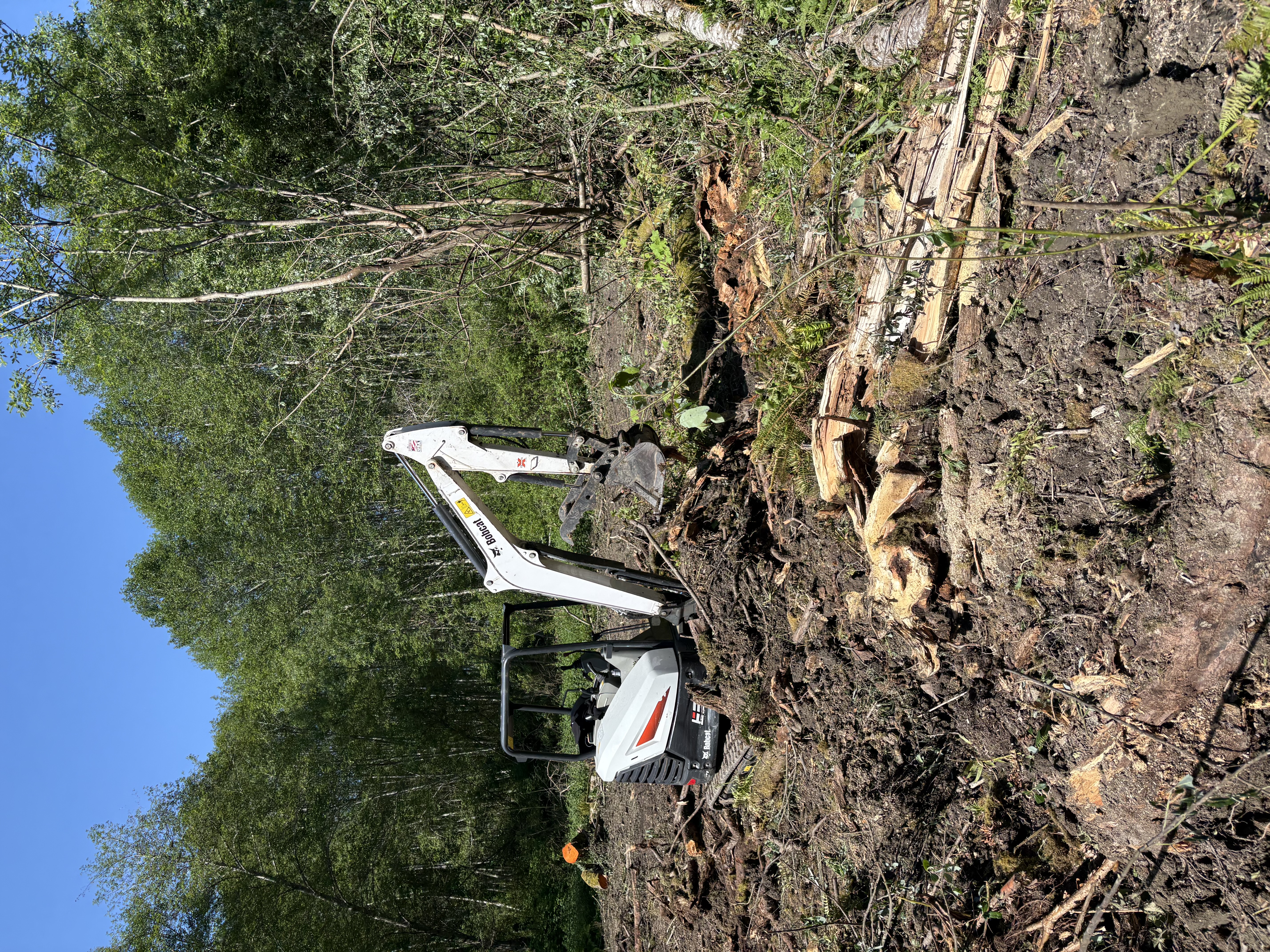 Brush removal before clearing